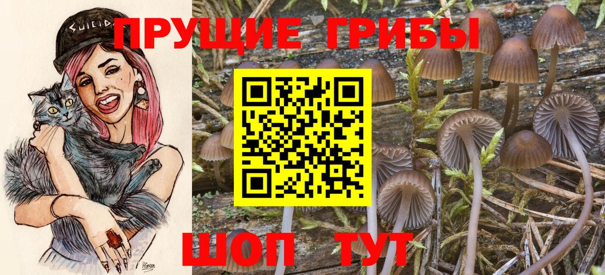 Галлюциногенные грибы прущие грибы  Псилоцибиновые грибы MAGIC MUSHROOMS  Изобильный  Вход с VPN 